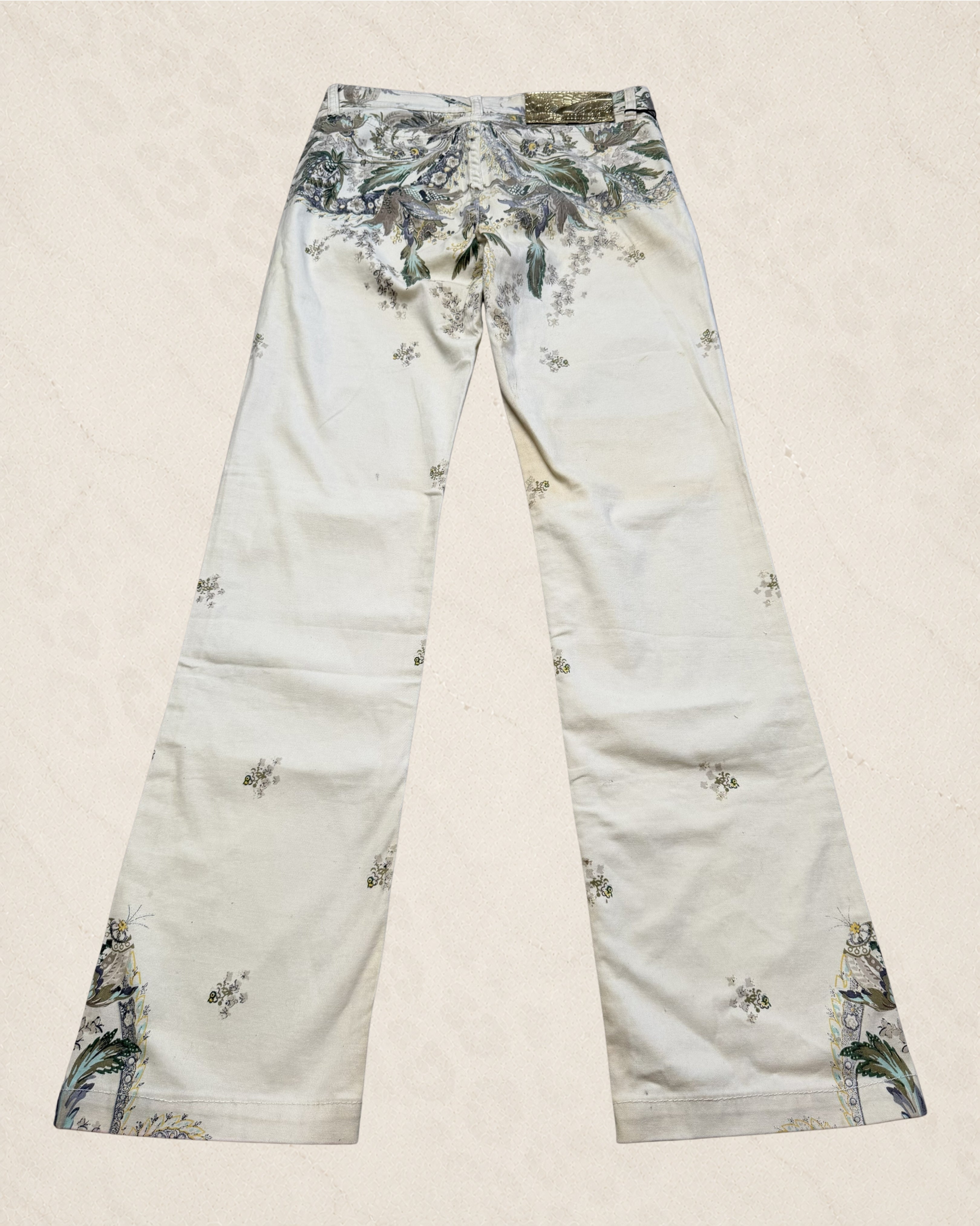 Size 27 Roberto Cavalli Floral Hand Painted Jeans