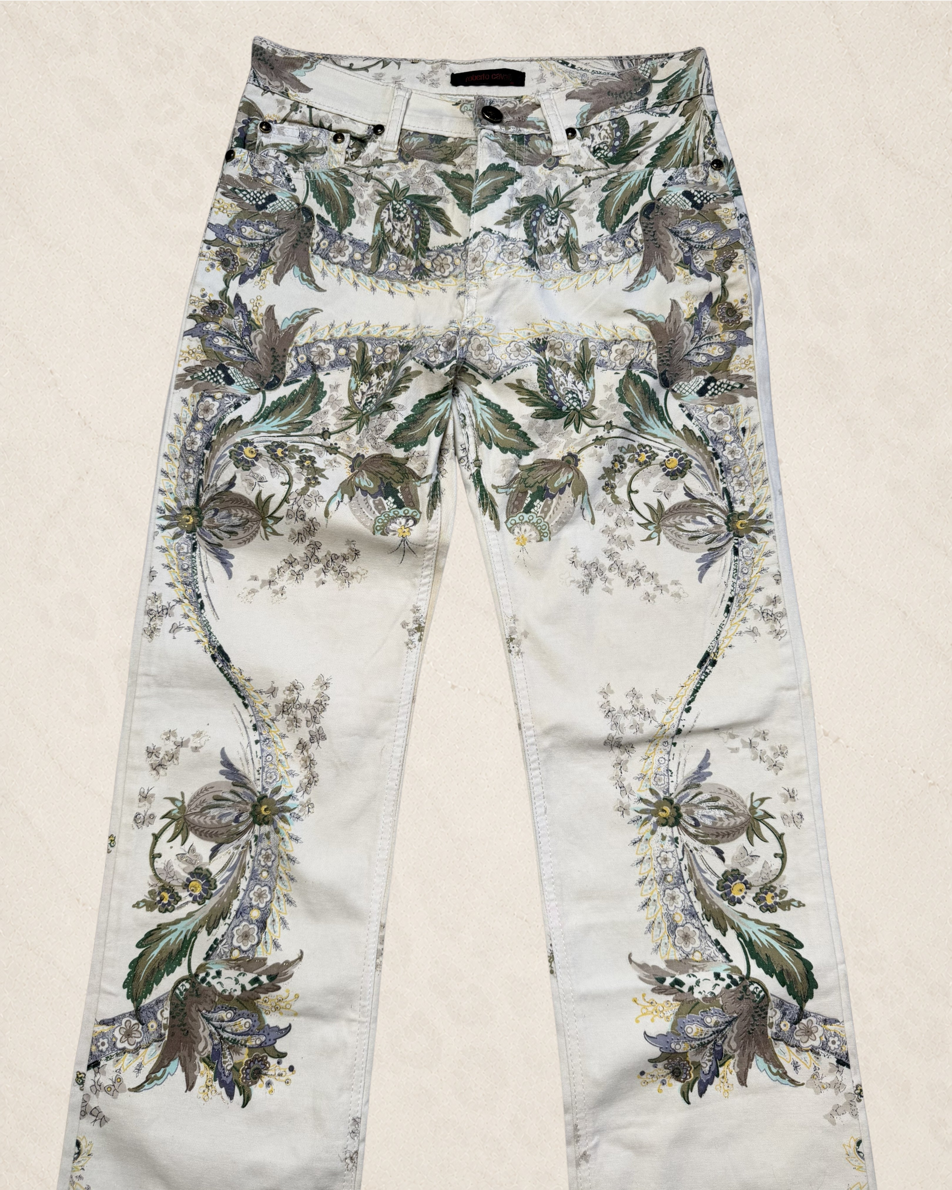 Size 27 Roberto Cavalli Floral Hand Painted Jeans