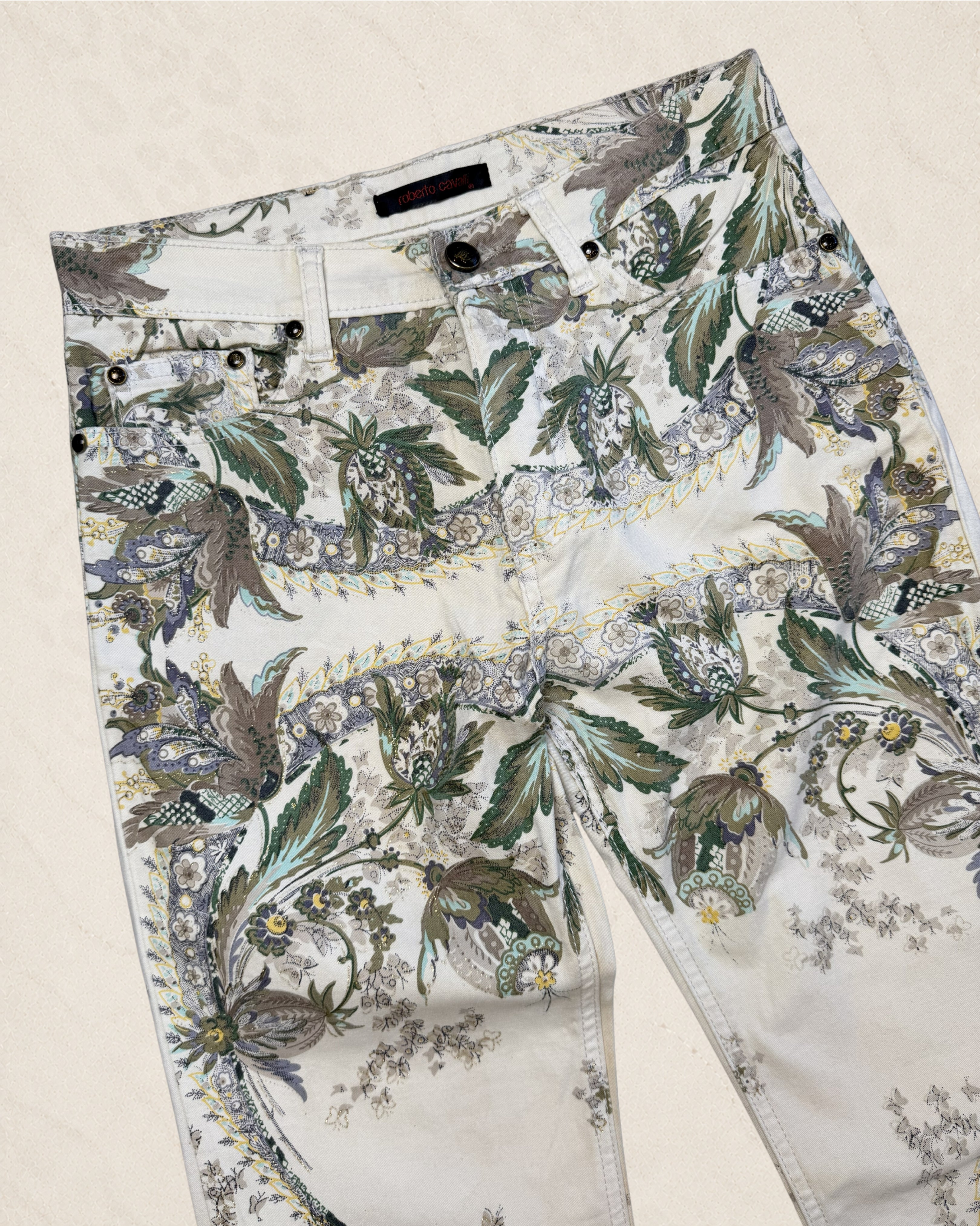Size 27 Roberto Cavalli Floral Hand Painted Jeans