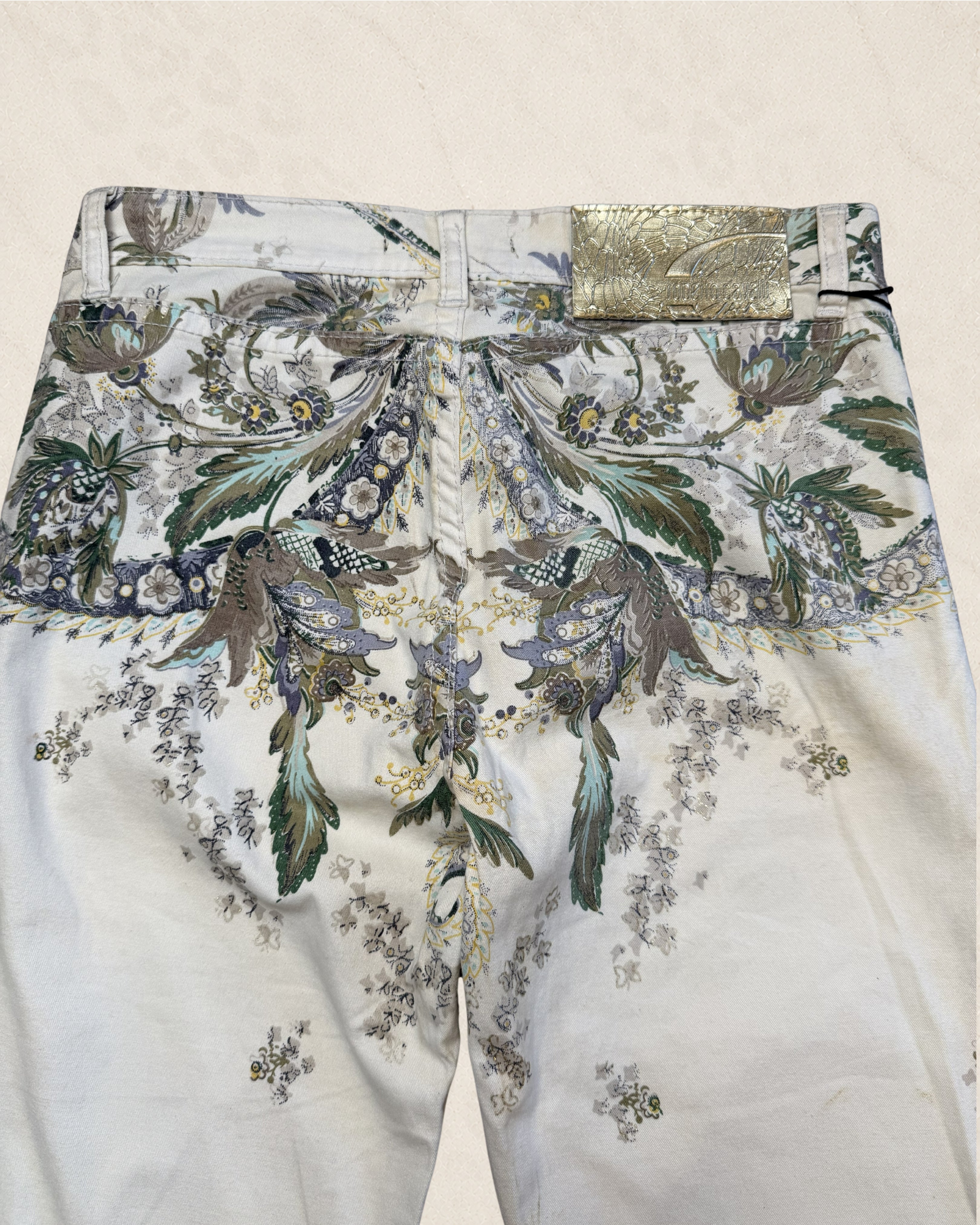 Size 27 Roberto Cavalli Floral Hand Painted Jeans